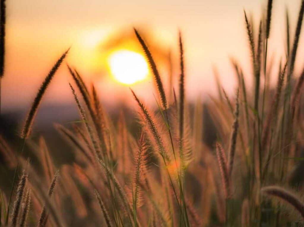 Sonnuntergang – Symbol für Richtung, inneren Weg und persönliche Transformation