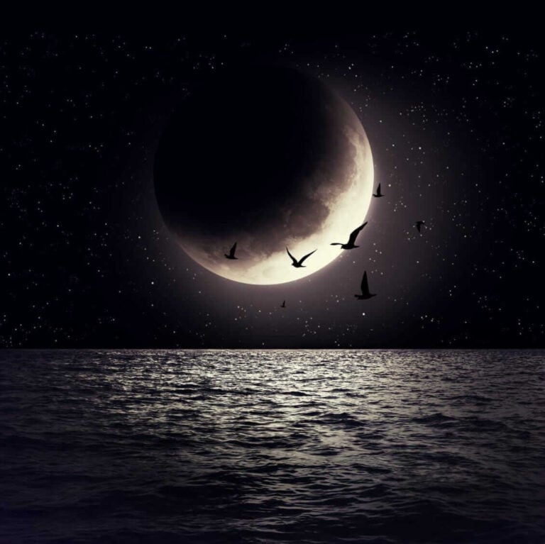 Neumond Ritual zur energetischen Reinigung: Spirituelle Begleitung von Barbara Hattinger
